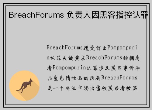 BreachForums 负责人因黑客指控认罪 