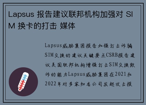 Lapsus 报告建议联邦机构加强对 SIM 换卡的打击 媒体