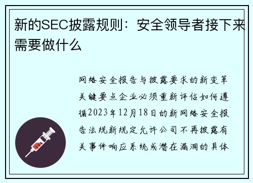 新的SEC披露规则：安全领导者接下来需要做什么 